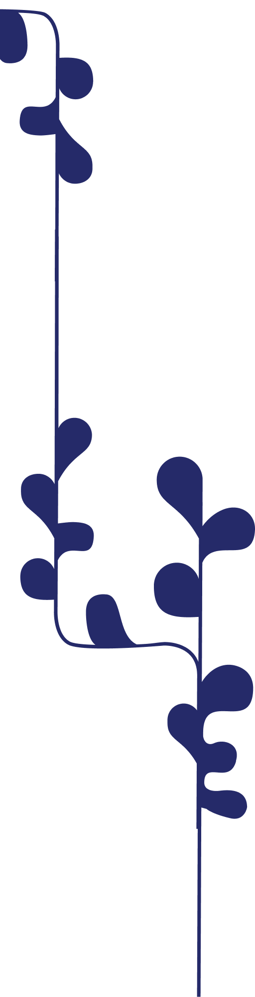 Background seaweed graphic.