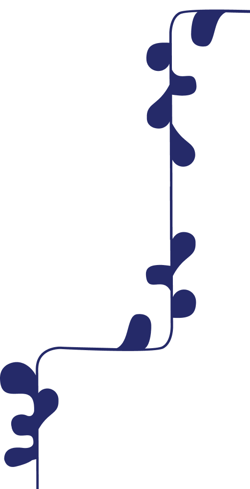 Background seaweed graphic.